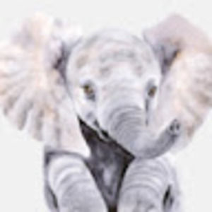 Meet your Posher, Ellie